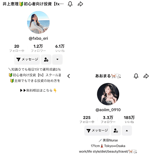 TikTok Interface